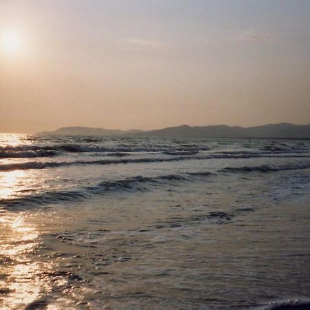 Maremmare Tuscany Apartments Principina a Mare Dış mekan fotoğraf