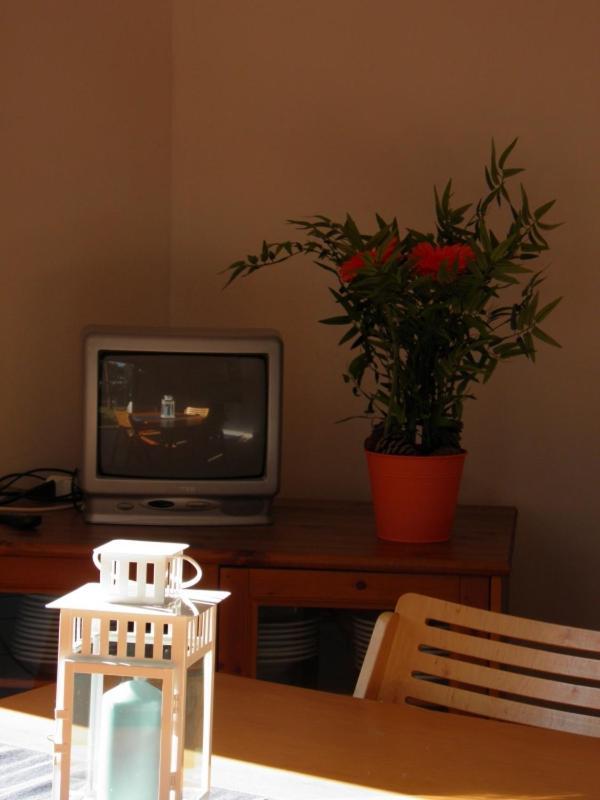 Maremmare Tuscany Apartments Principina a Mare Dış mekan fotoğraf