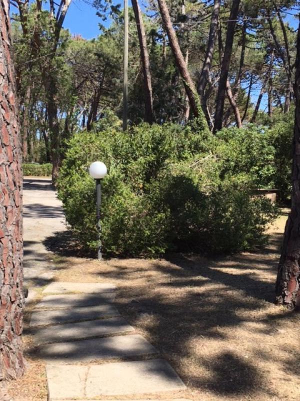 Maremmare Tuscany Apartments Principina a Mare Dış mekan fotoğraf