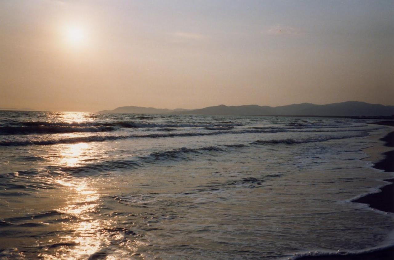 Maremmare Tuscany Apartments Principina a Mare Dış mekan fotoğraf